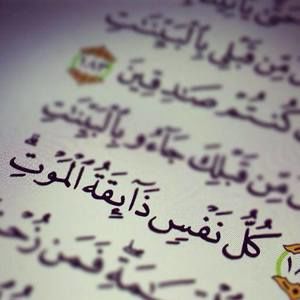 Meet your Posher, Shafi